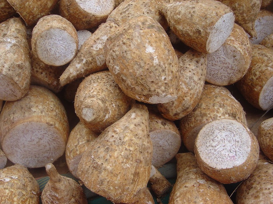 Taro root